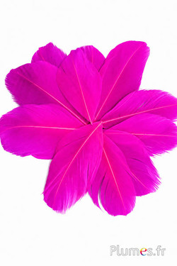 Petali in piume - 6-8 cm x 3-4 cm - fucsia